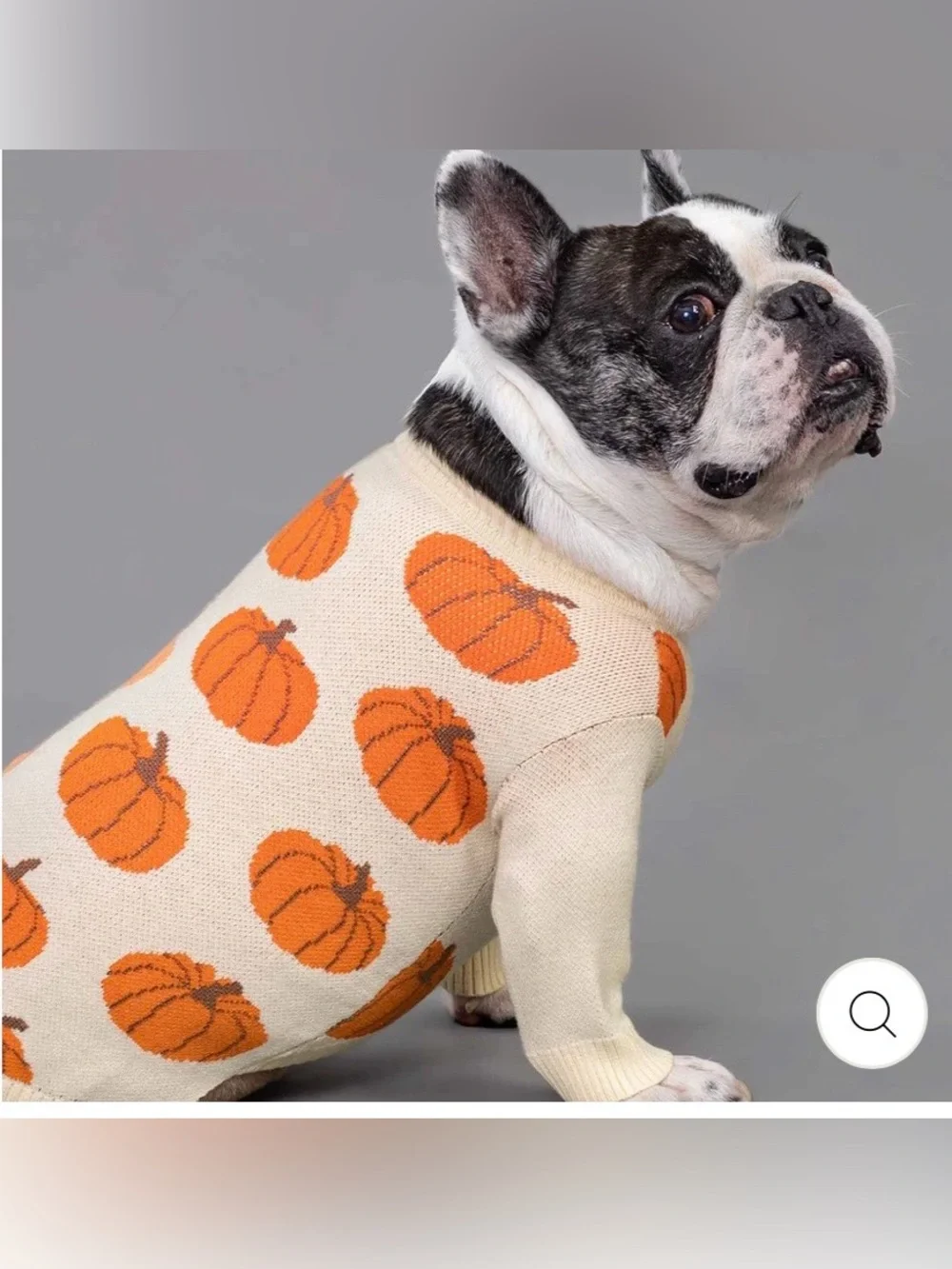 🎃PUMPKIN Dog Sweater - Antique Cream & Orange Knit Fall Pet Pullover